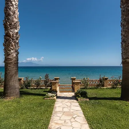 Playa Del Zante, By Tk Management