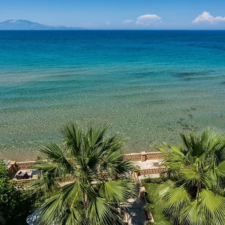 Playa Del Zante, By Tk Premium Amoudi