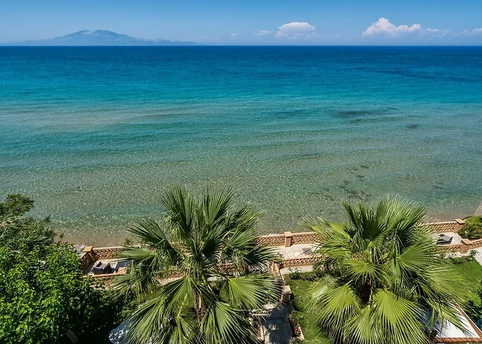 Playa Del Zante, By Tk Premium Amoudi